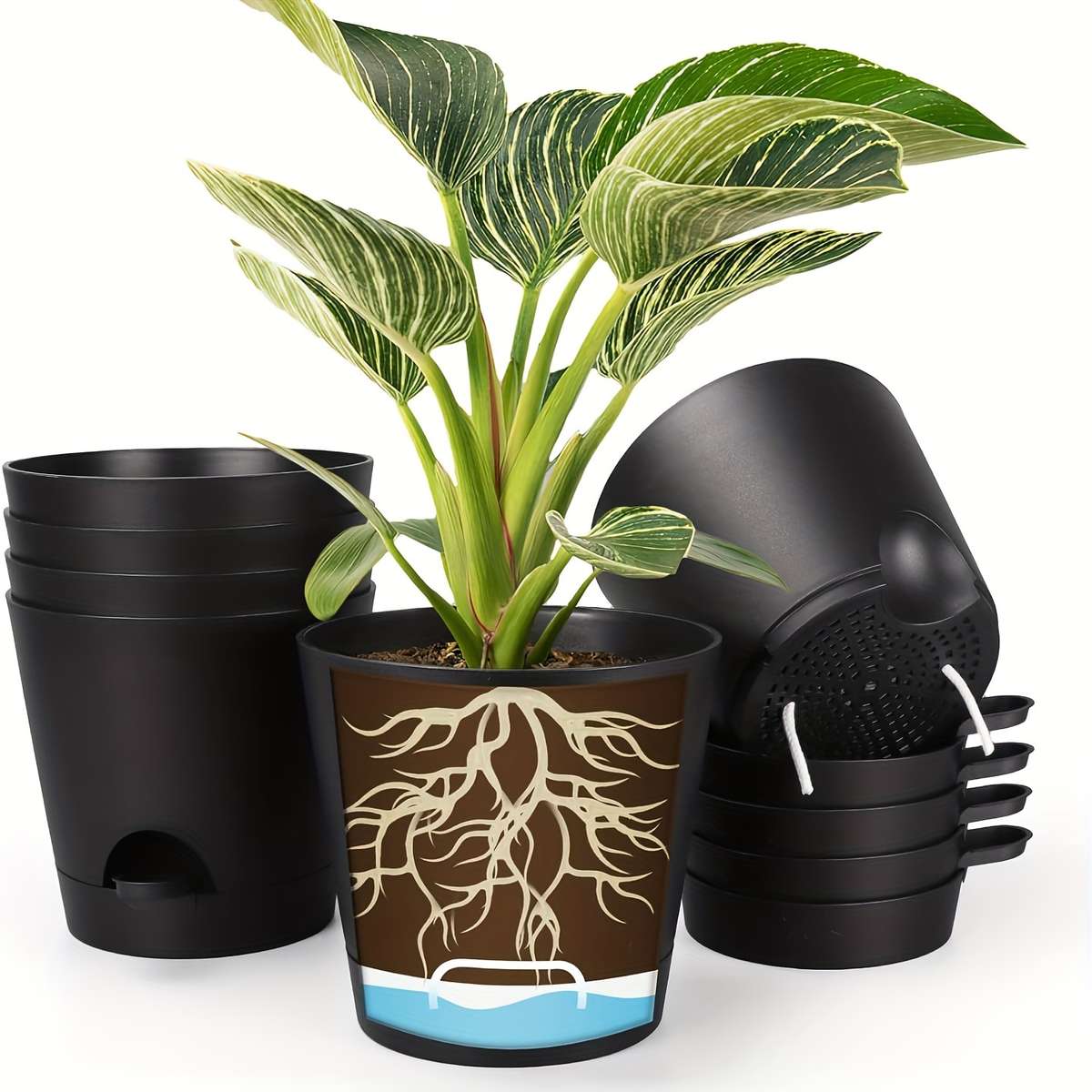 Flowerpot Color Olisx H1406 Bz 6 Black Basin And Brown Tray