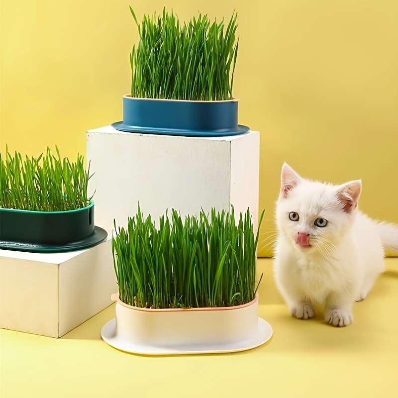 Decorative Whimsical Hydroponic Cat Grass Planter Reliable Performance For Home