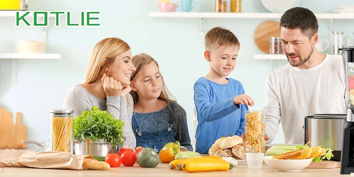 Juicer Model 2L Largecapacity Upgrade Model