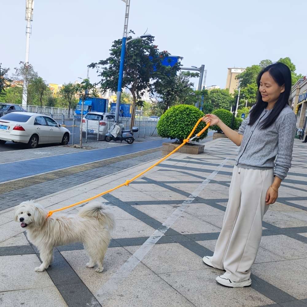 Dog Leash Color Reflectiveorange Size Onesize