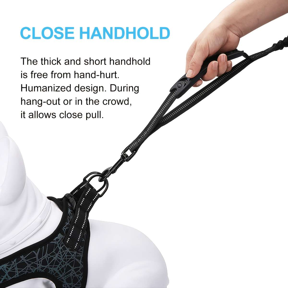 Dog Leash Color Black Size Onesize