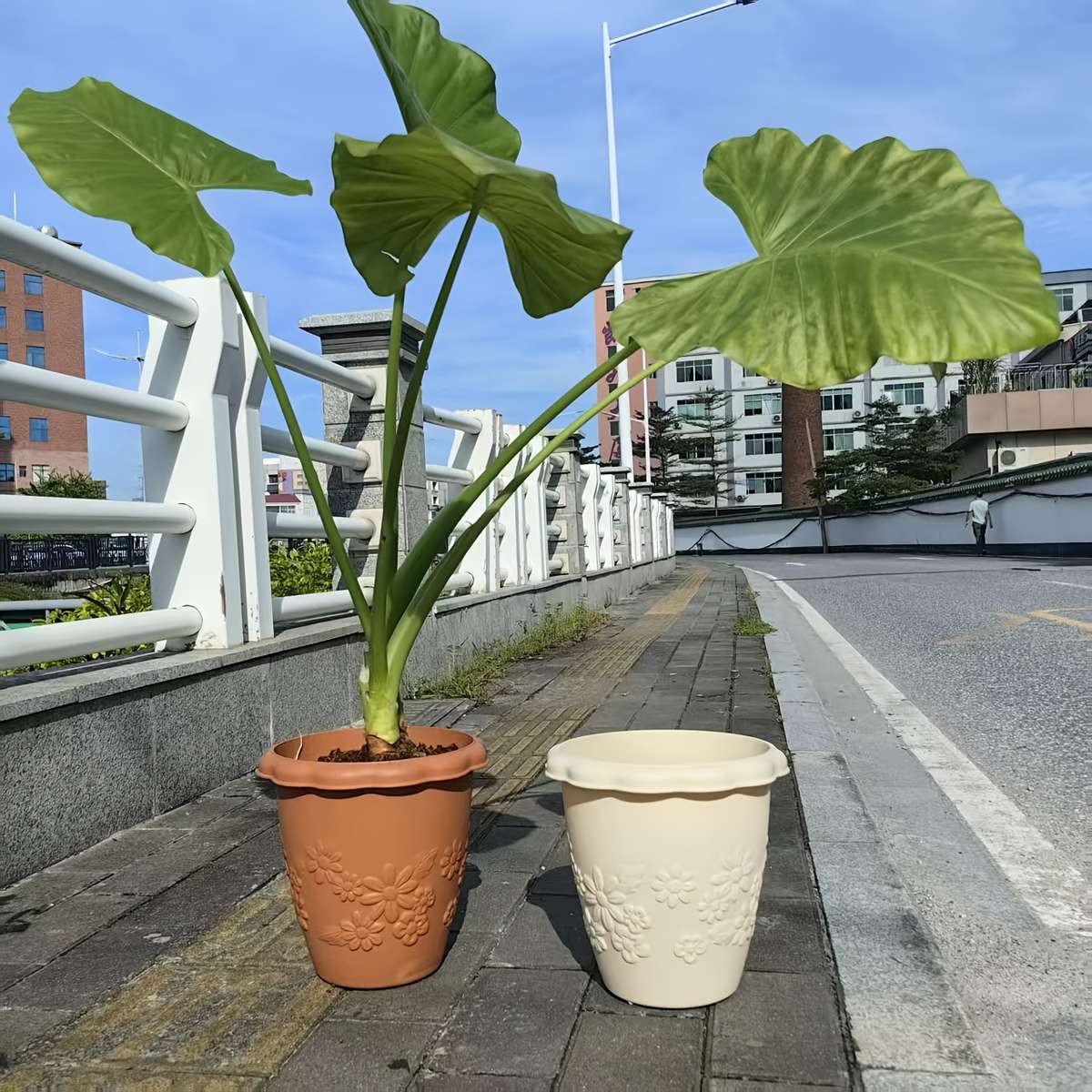 Flowerpot Color Beige Model30X30Cm