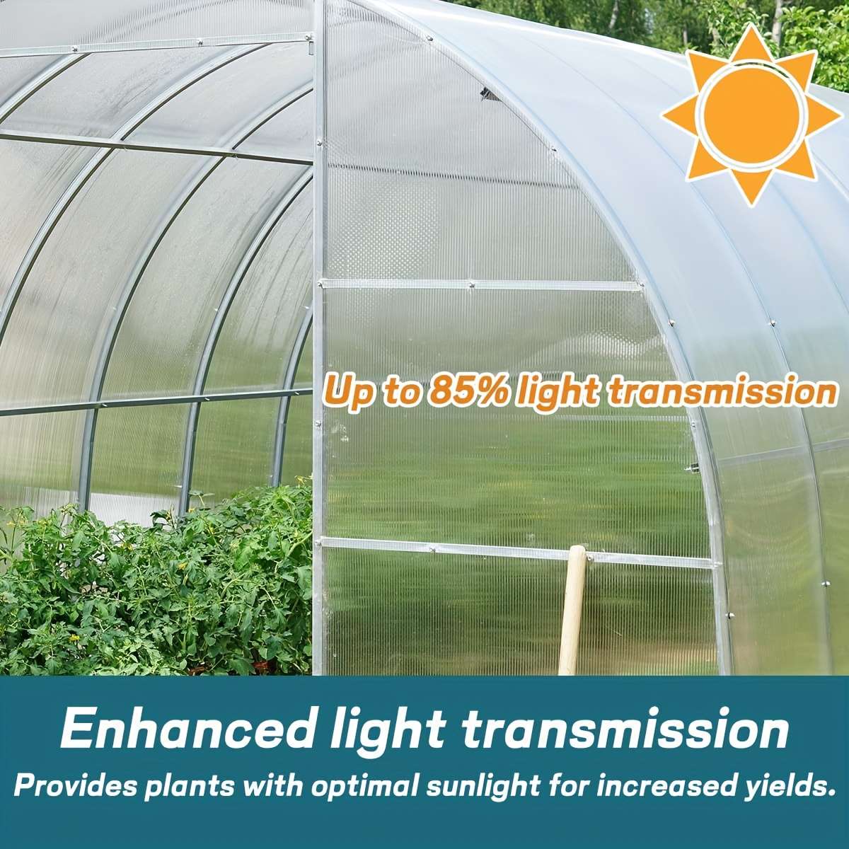 Polycarbonate Sheets Size 100Cm*500Cm