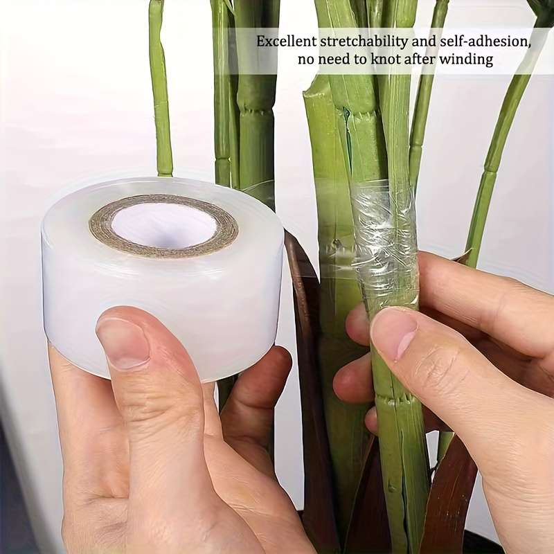 Adhesive Tape Model 2.03Cm*15.01M