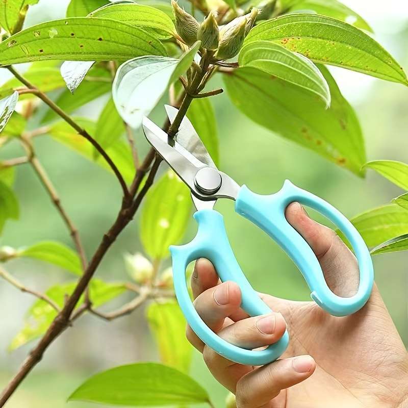Garden Shears Color Purple