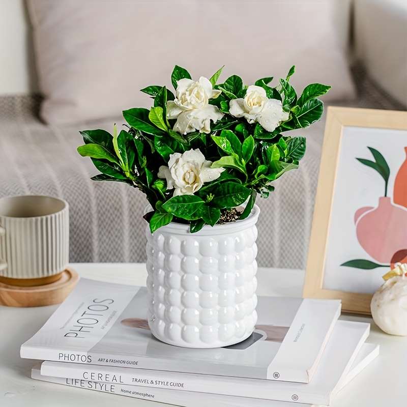 Flowerpot Color White  Add  Gray