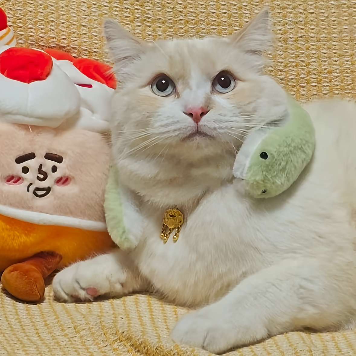 Plush Toyss color White