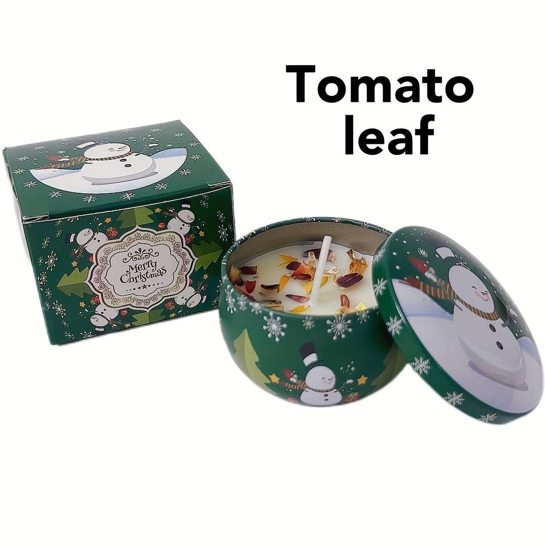 Christmas Gift Boxes Style 1 Can Box -Apple Cinnamon