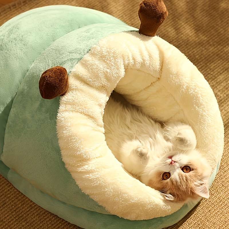 Pet supplies color Brown Bear Gray M