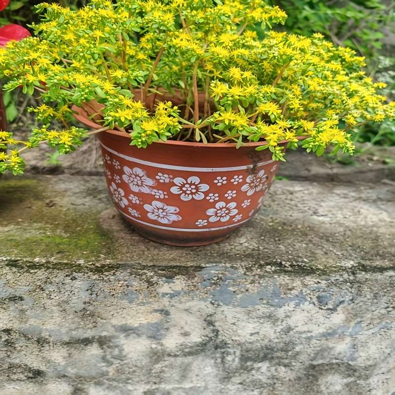 Flowerpot Color 2 Packs  Random