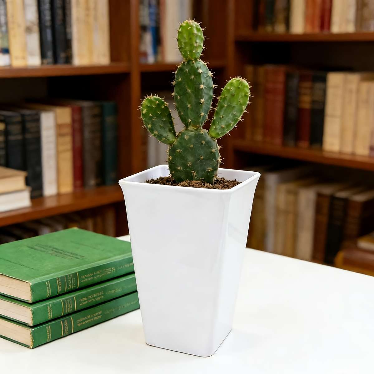 Flowerpot  1Pccolor Black