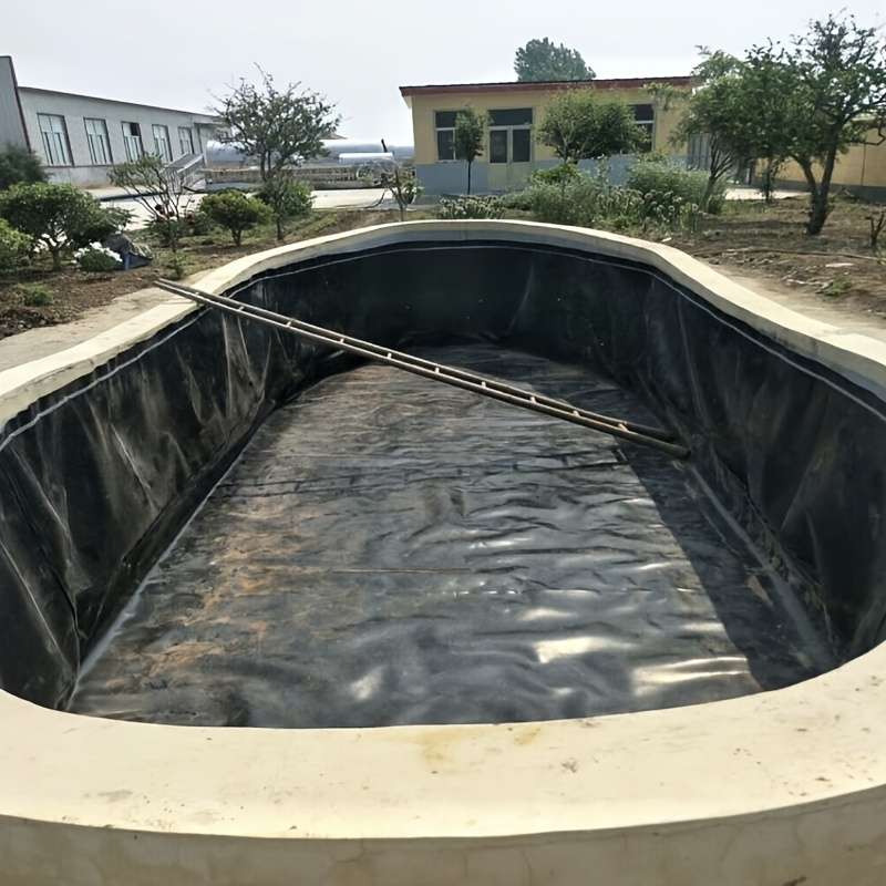 Swimming Pool Model 7M X 10M