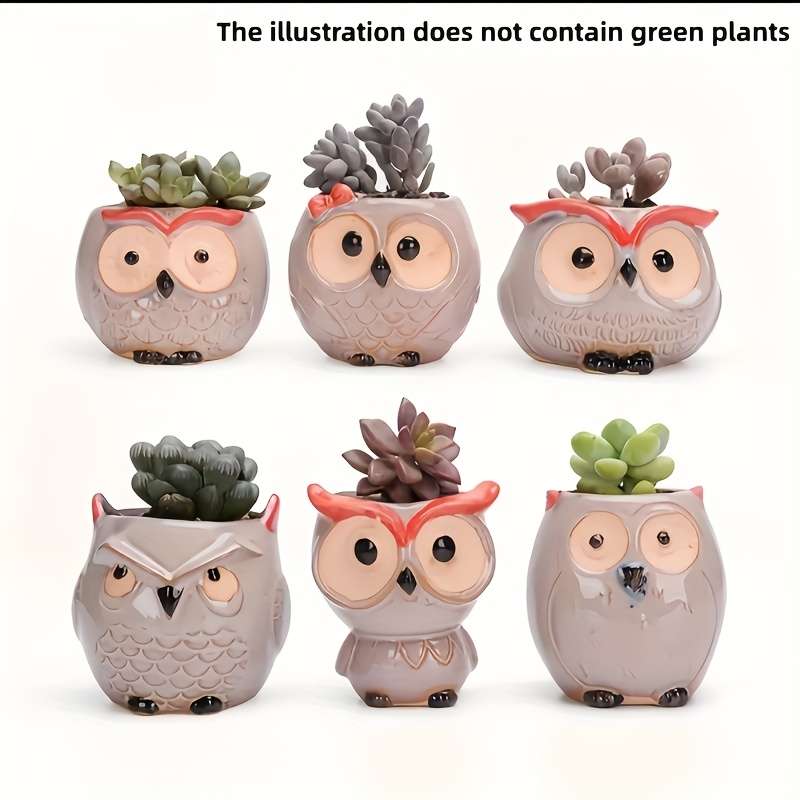 Flowerpot Color 6 Piece Owl Flower Pot Set