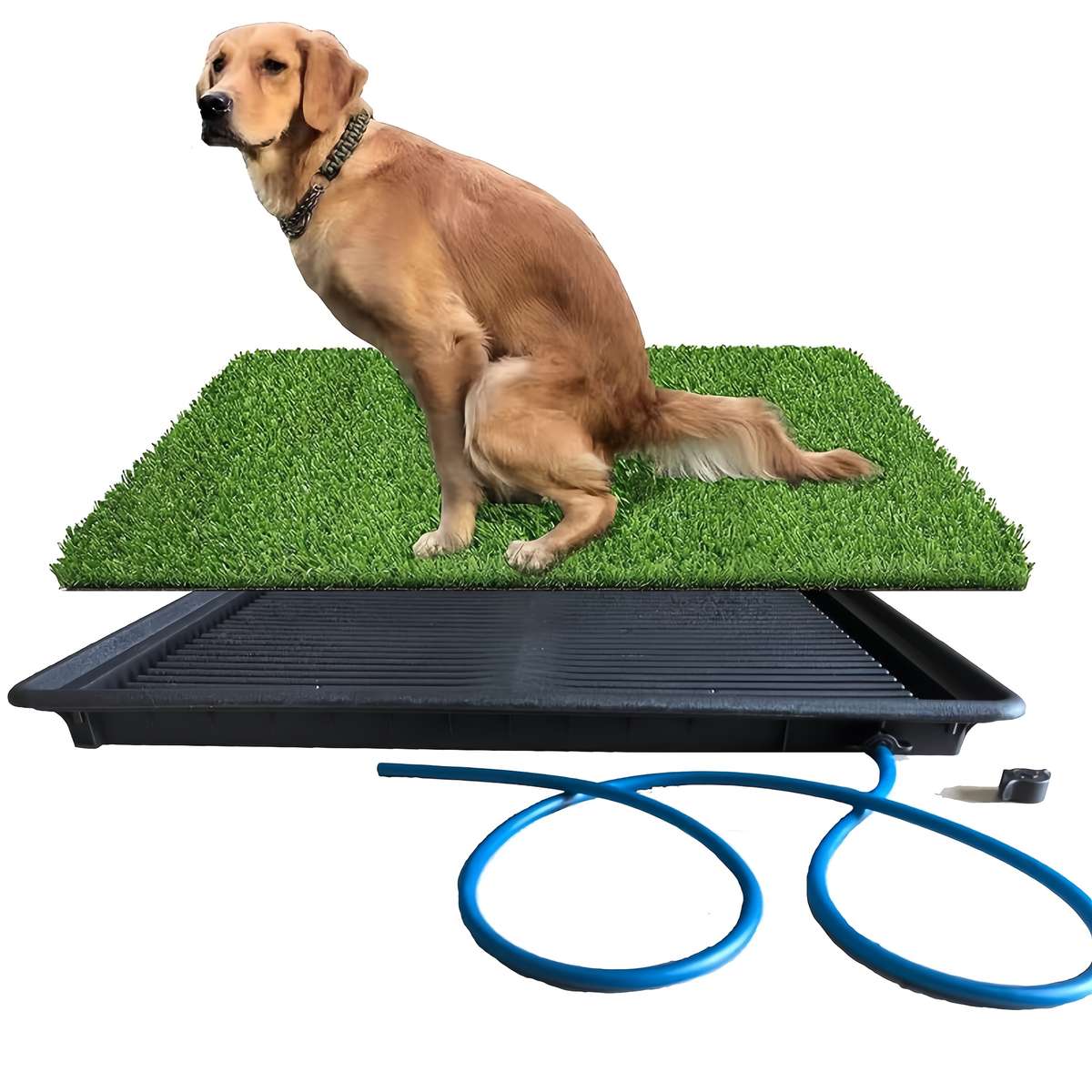 Pet supplies size 61.98cmx 50.04cm