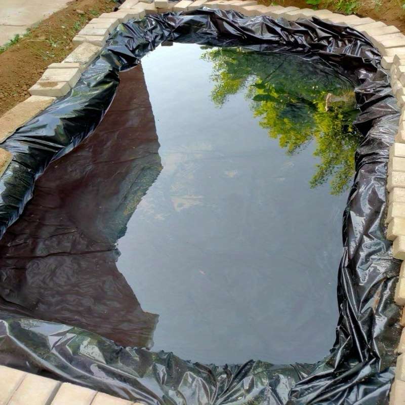 Swimming Pool Model 7M X 10M