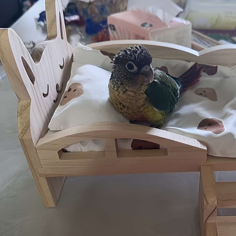 Pet supplies Style Bear bed  Add  bear quilt three    piece set