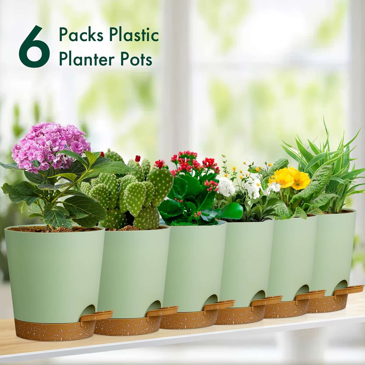 Flowerpot Color Green Brown