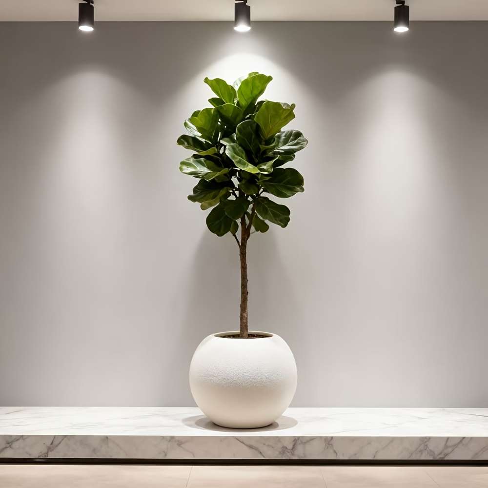 Flowerpot Color White