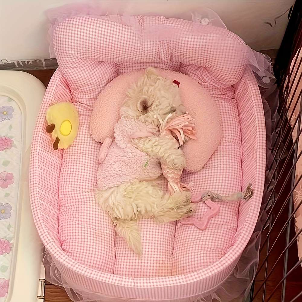 Pet supplies color Blue