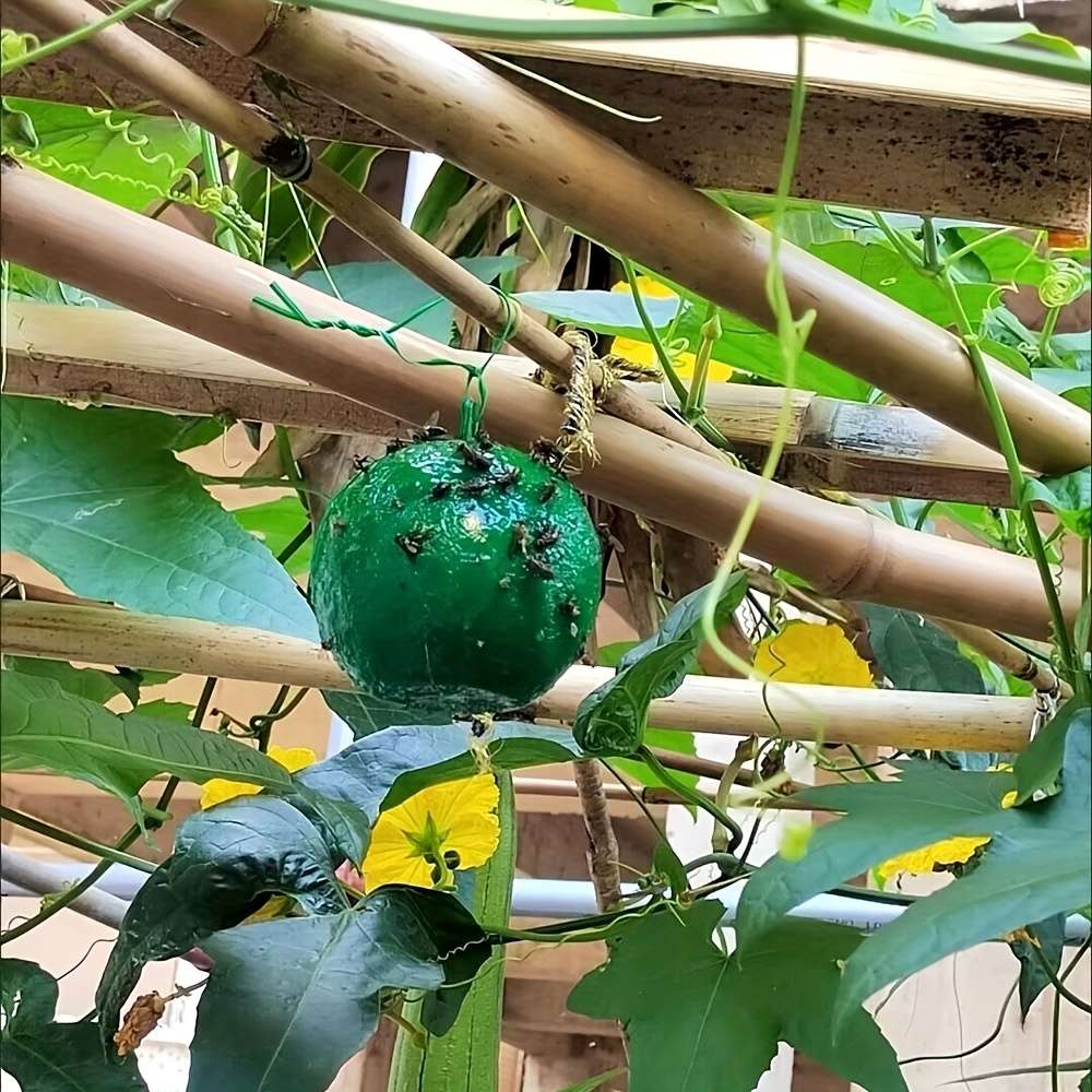 Fruit Fly Traps Items 3Pcs Random Colors