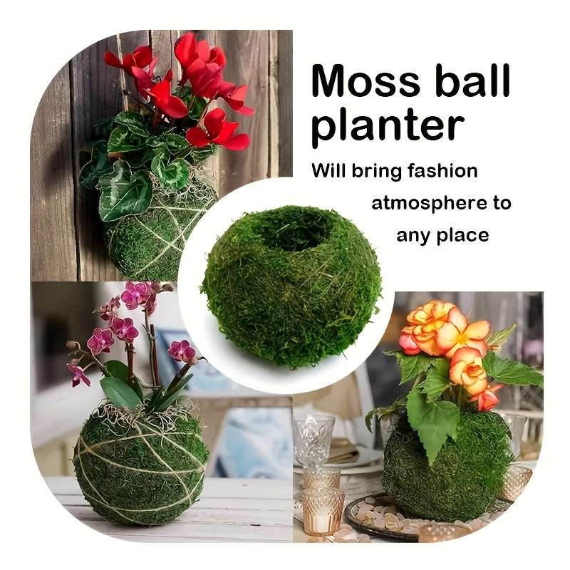 Flowerpot Quantity 2Pcs
