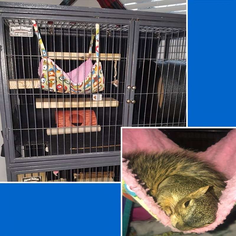 Pet supplies color Leopard White