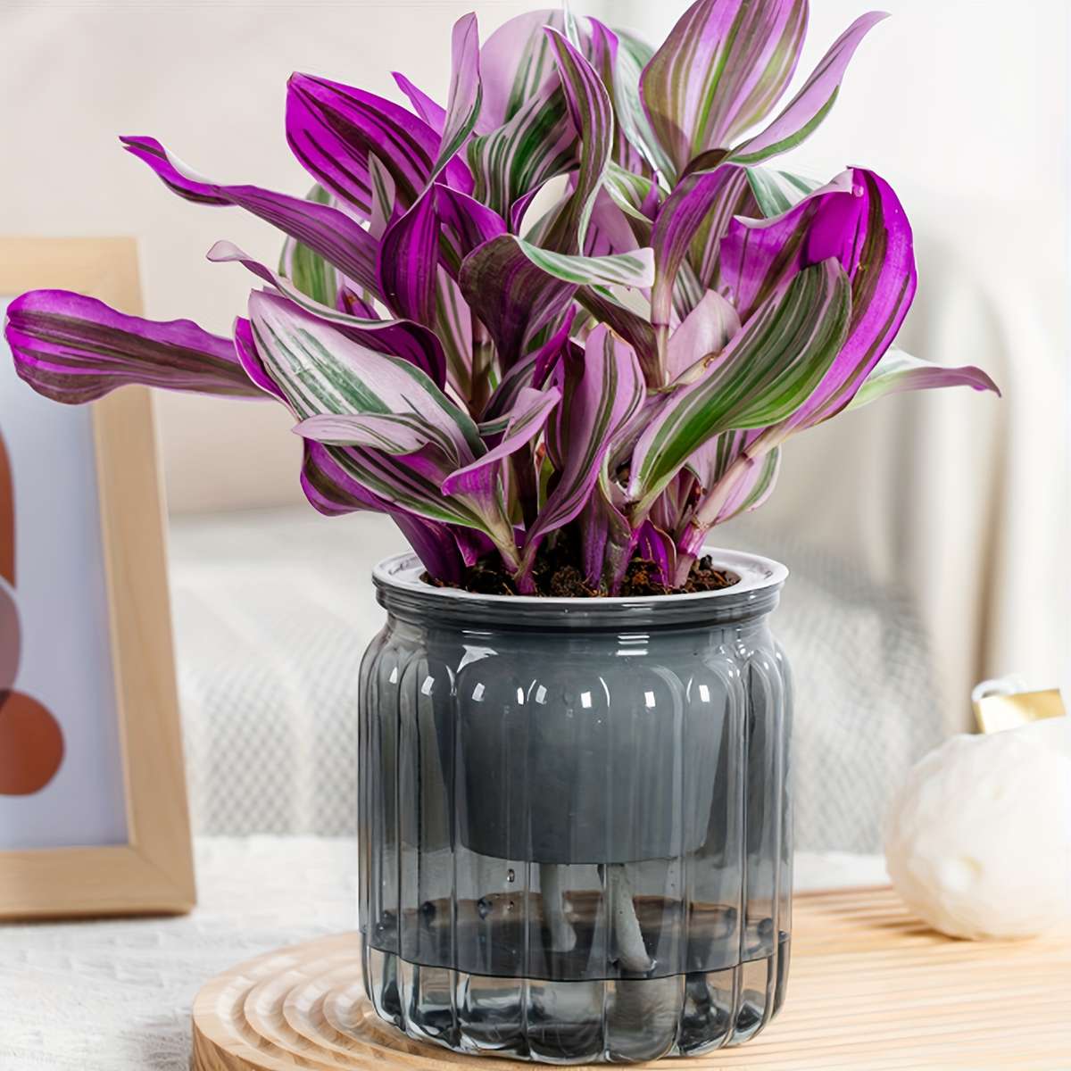 Flowerpot  1Pccolor Transparent Grey