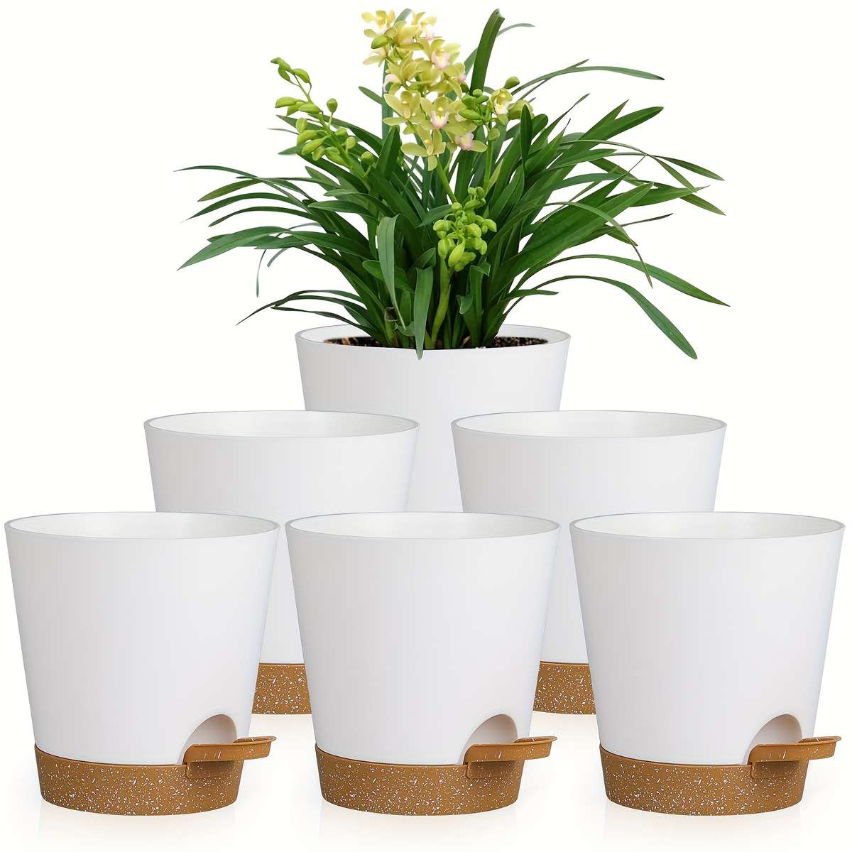 Flowerpot Color Olisx H1406 Wz 6 White Pot And Brown Tray