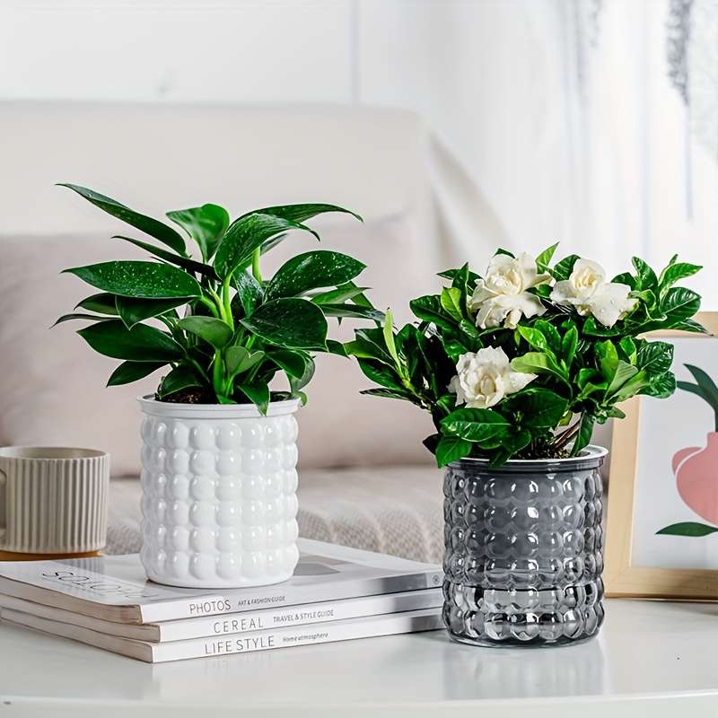 Flowerpot Color White  Add  Gray