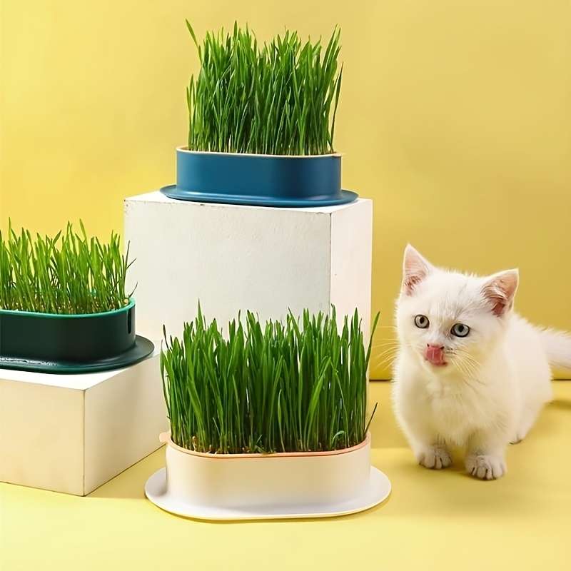 Decorative Whimsical Hydroponic Cat Grass Planter Reliable Performance For Home