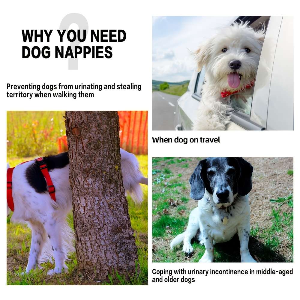 Pet supplies color Pack 2 size M