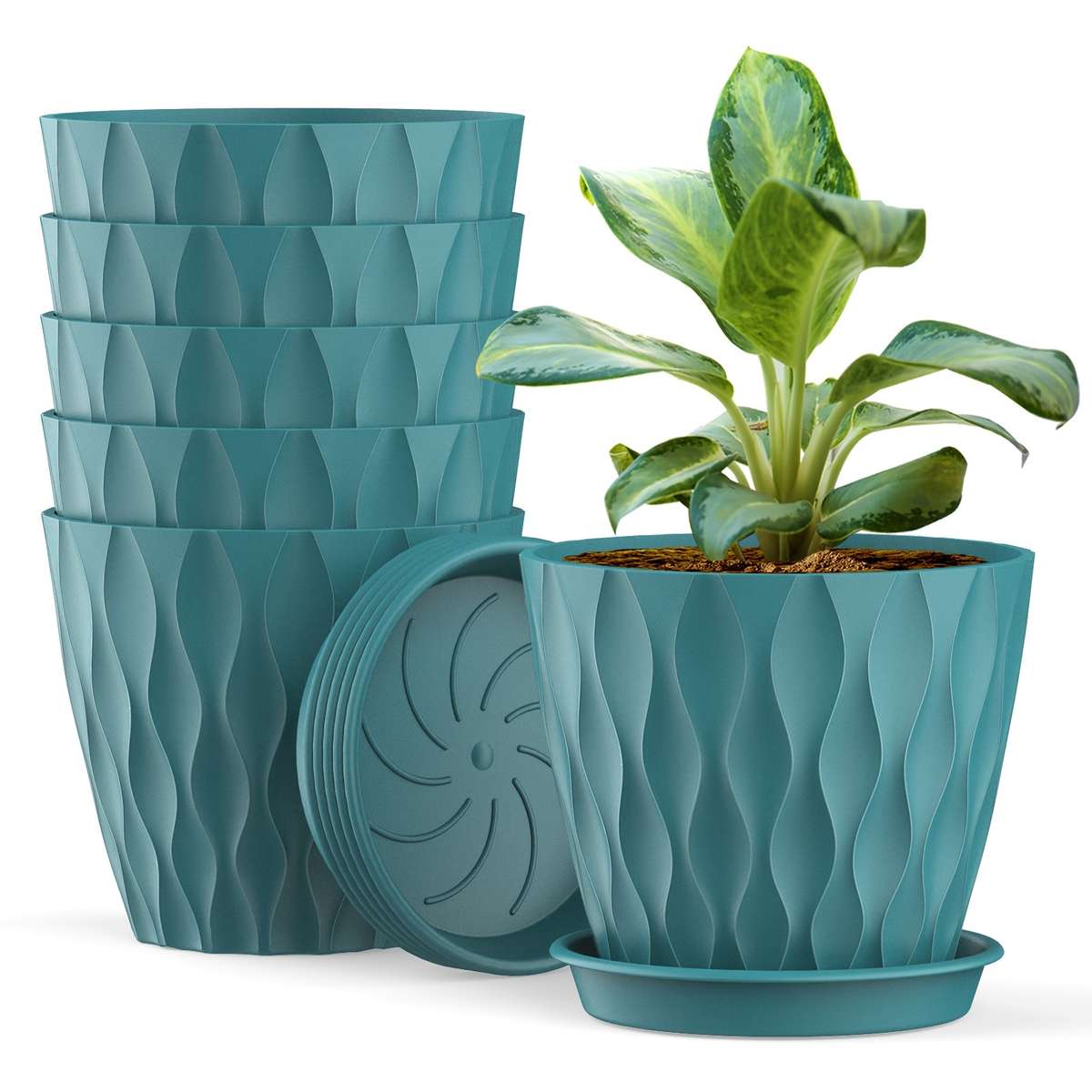 Flowerpot Color Multi Color