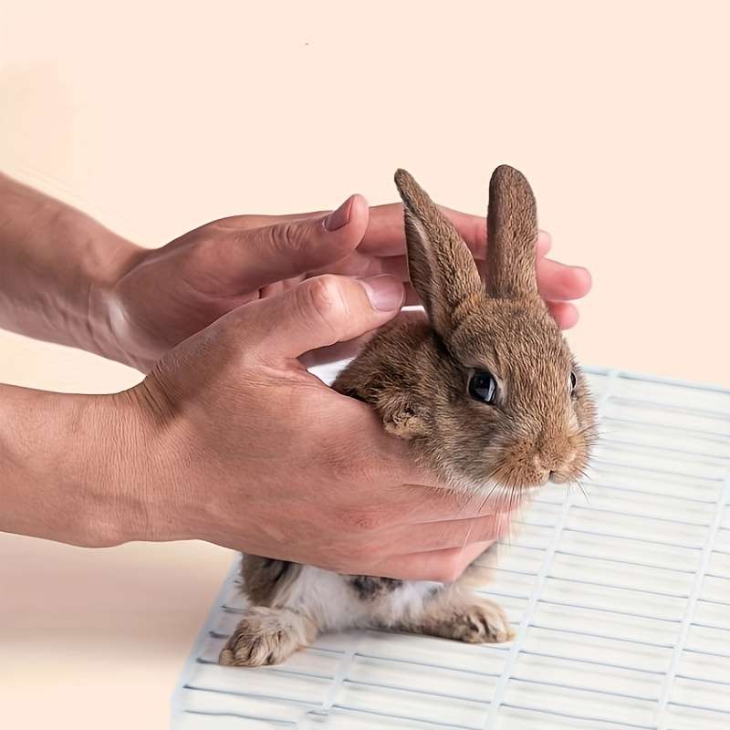 Pet Supplies Color White