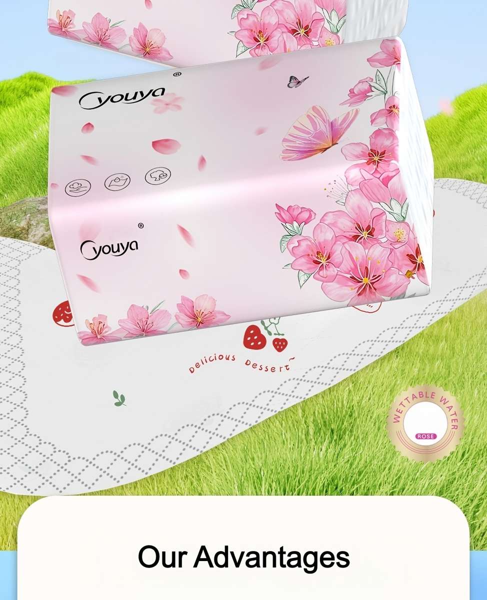 Toilet Paper Quantity 1Pack