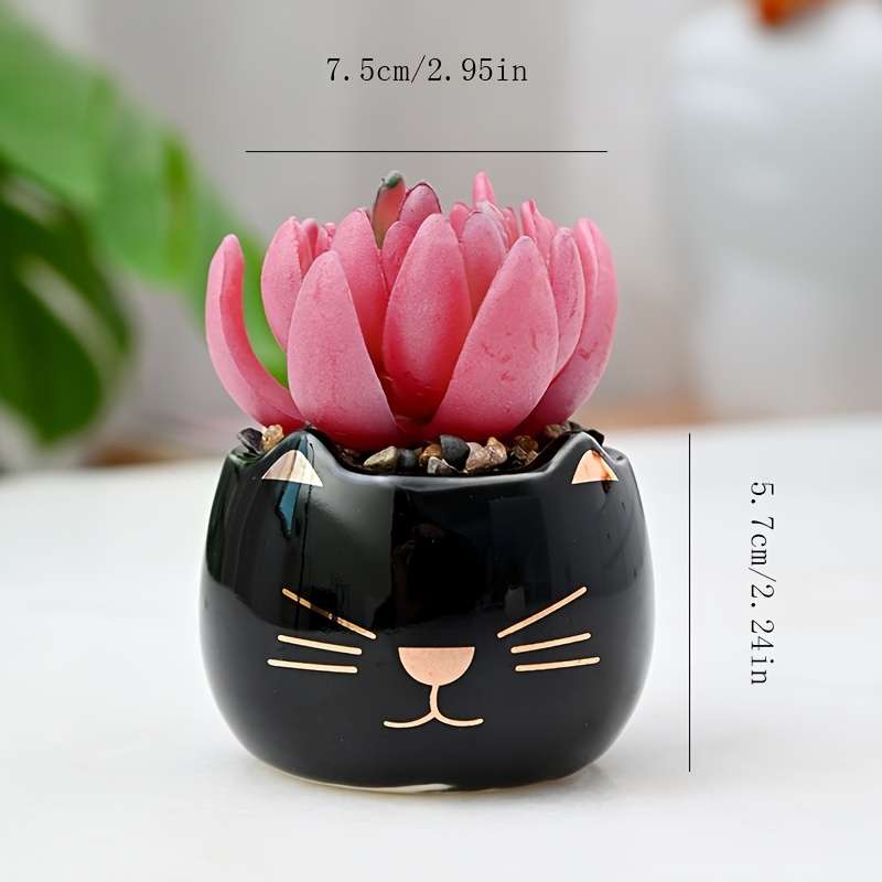 Flowerpot Color 2Pcs