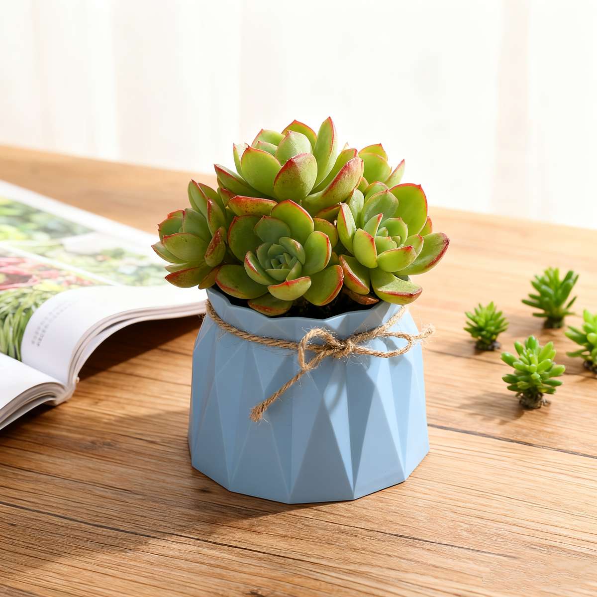 Flowerpot Color White