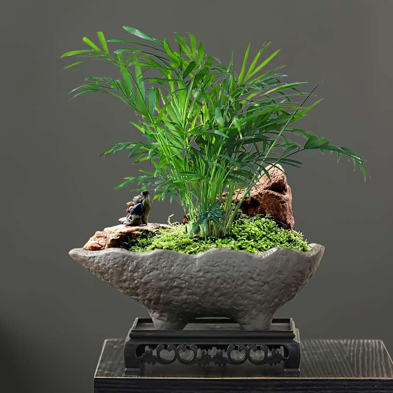Flowerpot Model 1Pc Flowerpot Add 1Pc Plastic Base