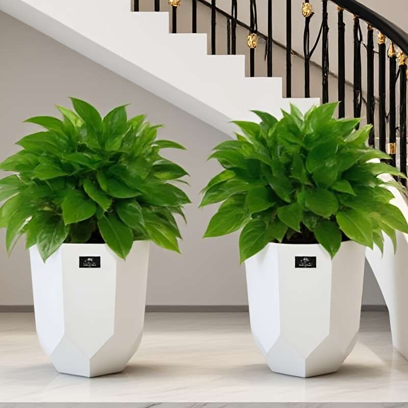 Flowerpot Model White 2 Pieces  Tray 2 Pieces