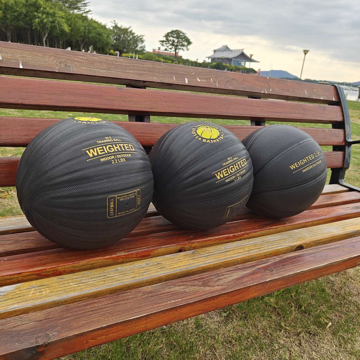 Basketball Weight 1300G 3Lbs