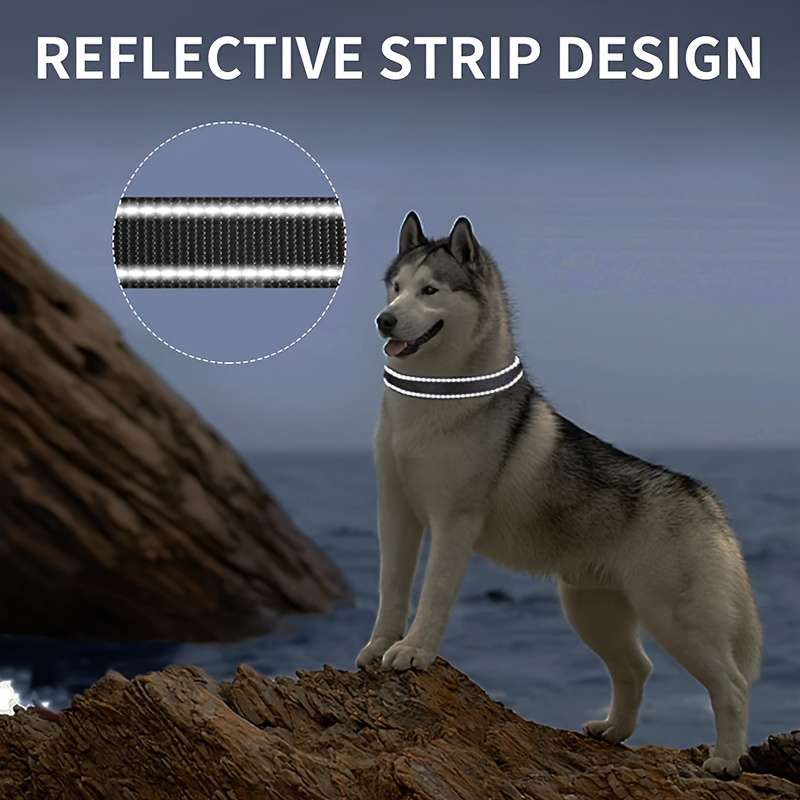Dog Leash Color Dark Blue Size L