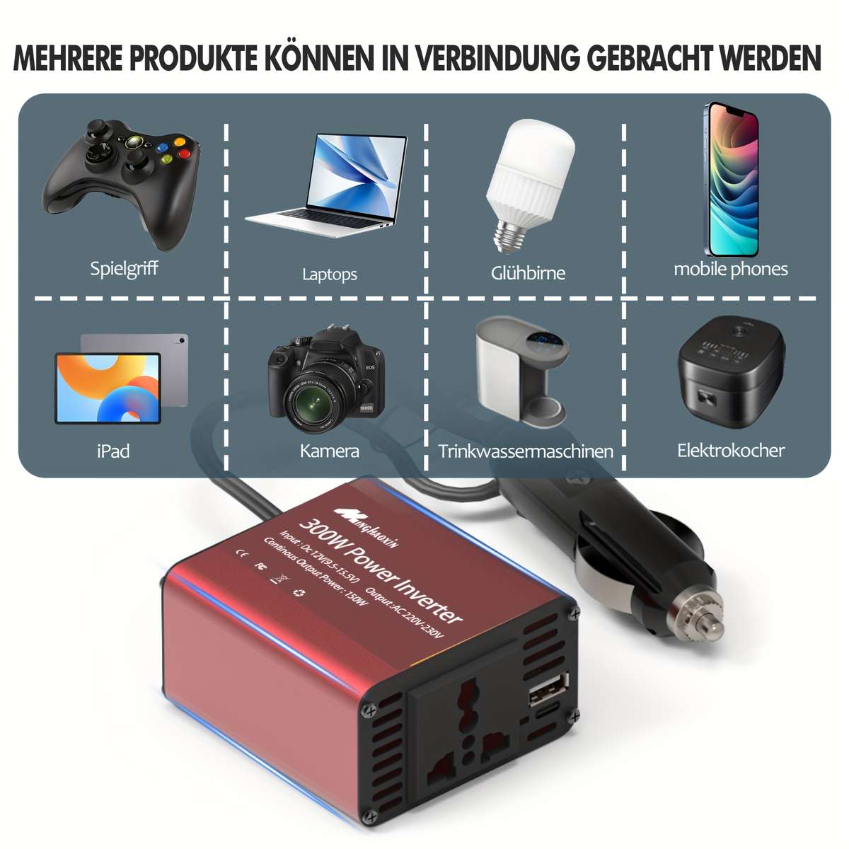 Inverter Model 300W