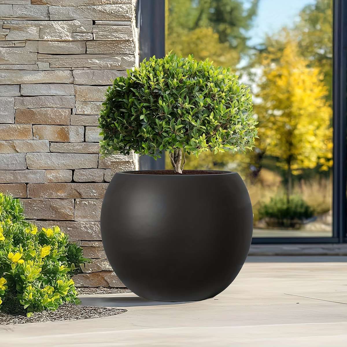 Heavy Duty Large Cm Tall Cm Diameter Aesthetic Design Modern Lifestyle