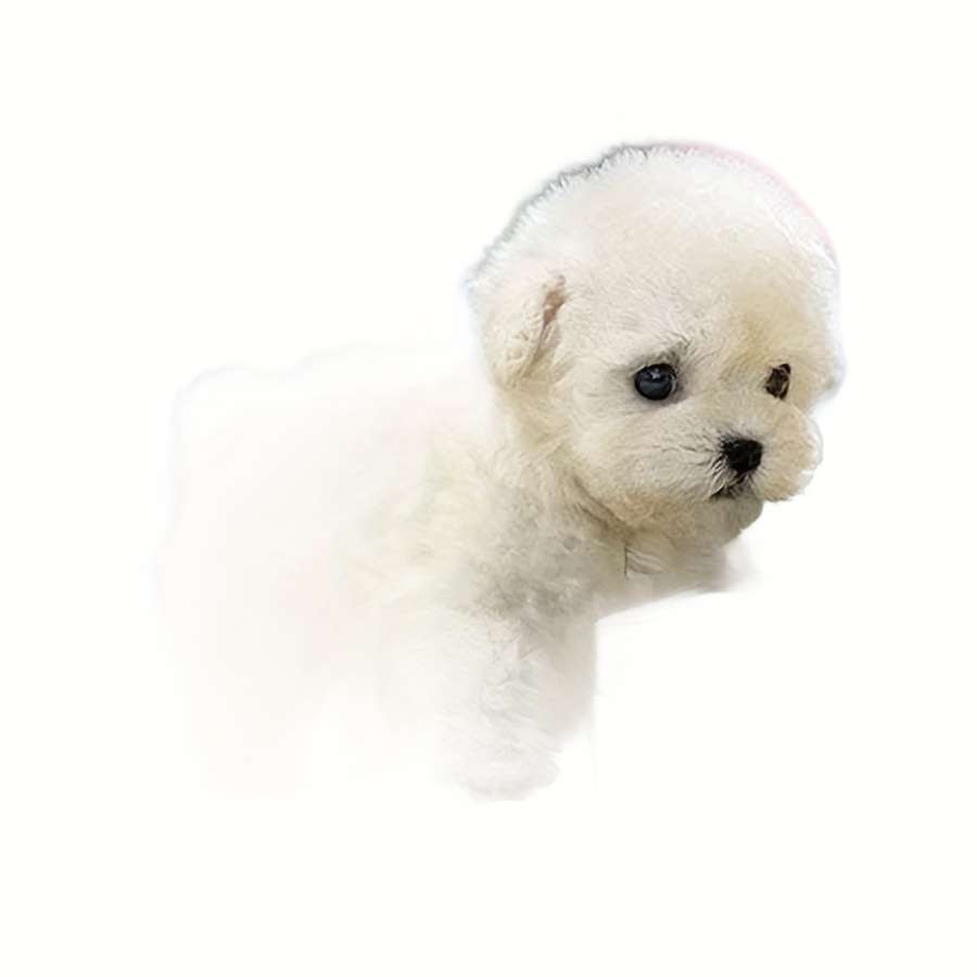 Plush Toys Color White