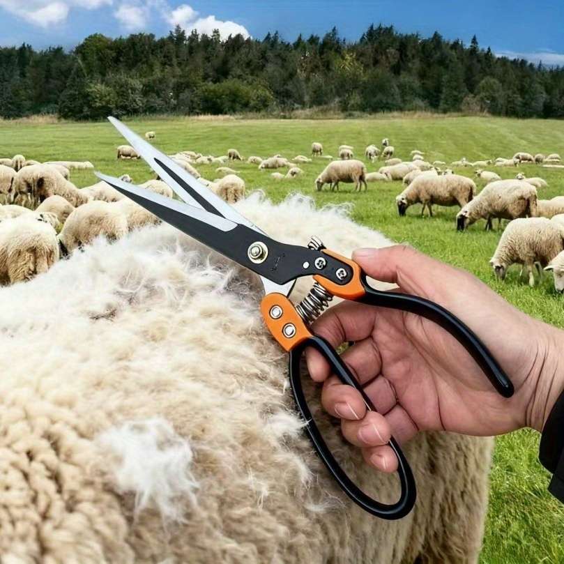 Scissors Quantity