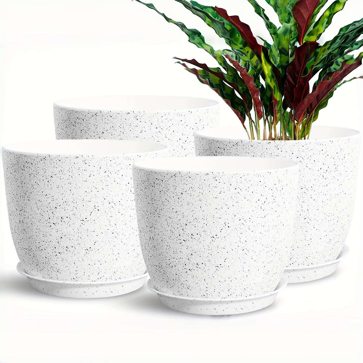 Flowerpot Color White With Speckles