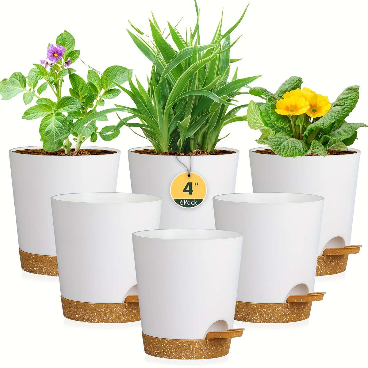 Flowerpot Color Green Brown