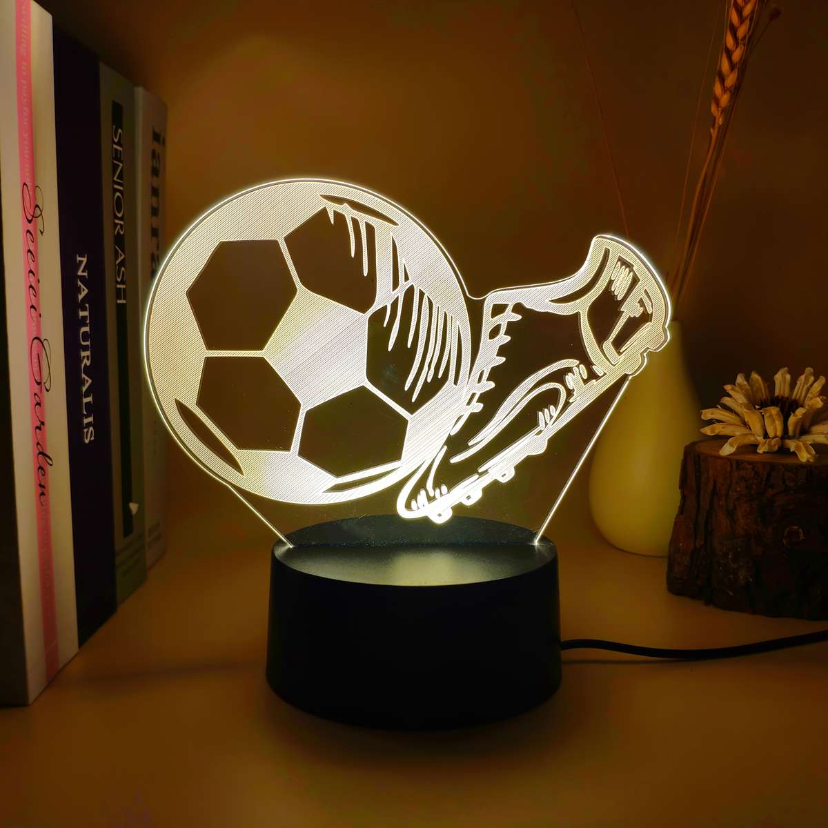 Night Light Color Warm Lighting