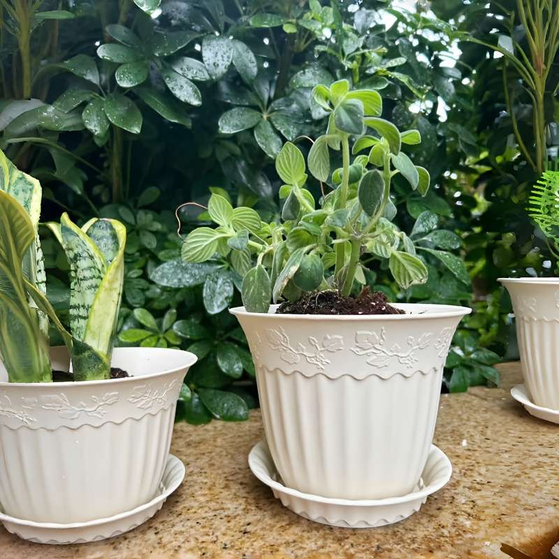Flowerpot Color Milan Yellow Size5 Inch Basin With Support