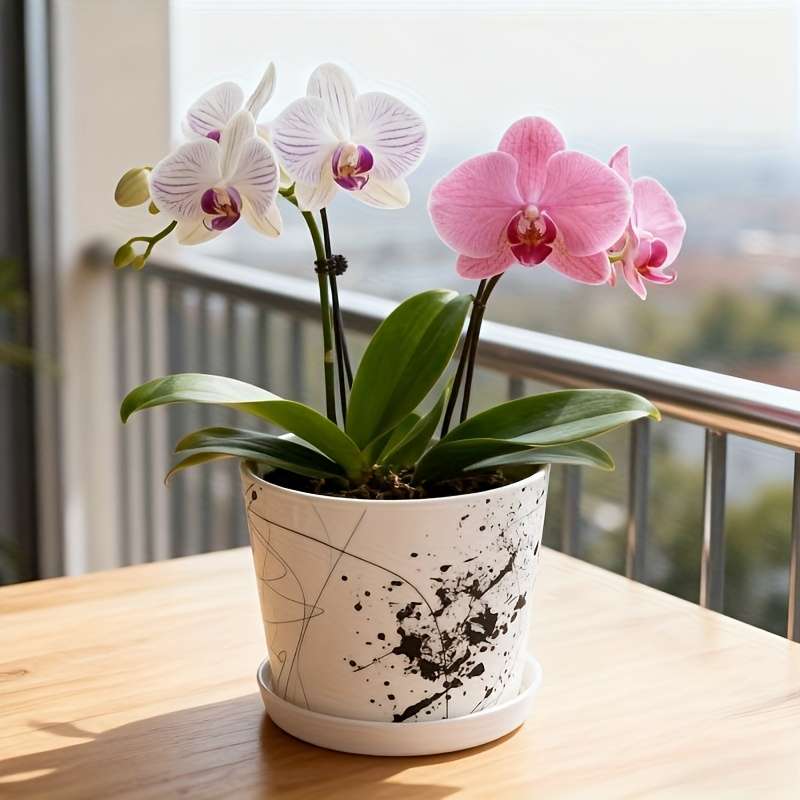 Flowerpot  2Pcscolor Black A3