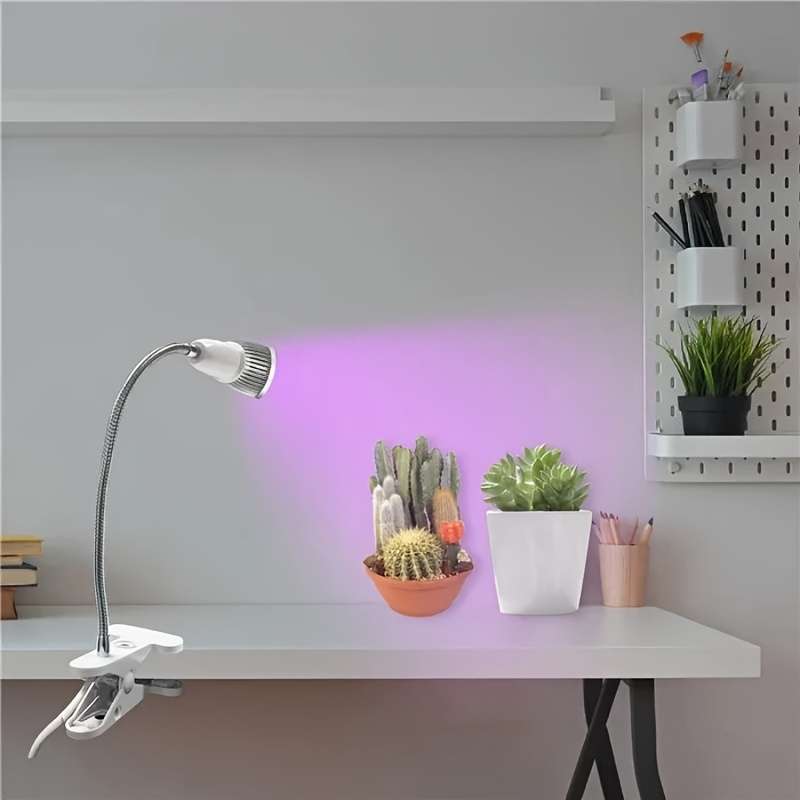 Portable Lamp